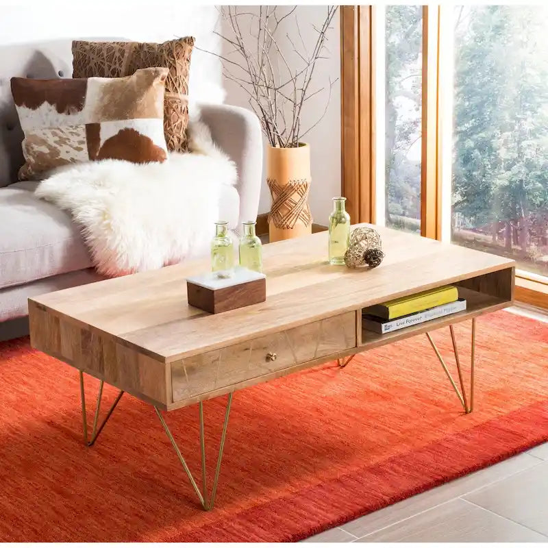 Table basse de salon à 1 tiroir et 1 étagère - 43L x 22P x 16H